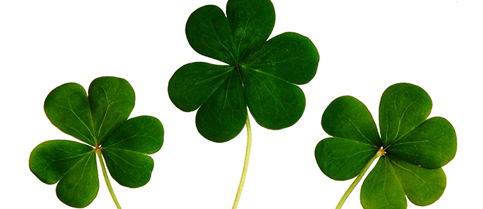 5 Things to Do in Chicago: St. Patrick's Day