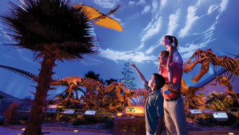 Indianapolis Children’s Museum