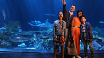 Deep-Sea Fashion: Playful Colors, Plaids and Prints Are Perfect for a Day at Shedd Aquarium