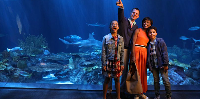 Deep-Sea Fashion: Playful Colors, Plaids and Prints Are Perfect for a Day at Shedd Aquarium