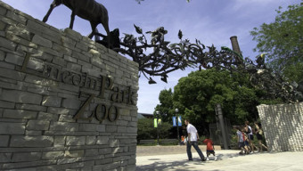 Earth Day: Lincoln Park Zoo
