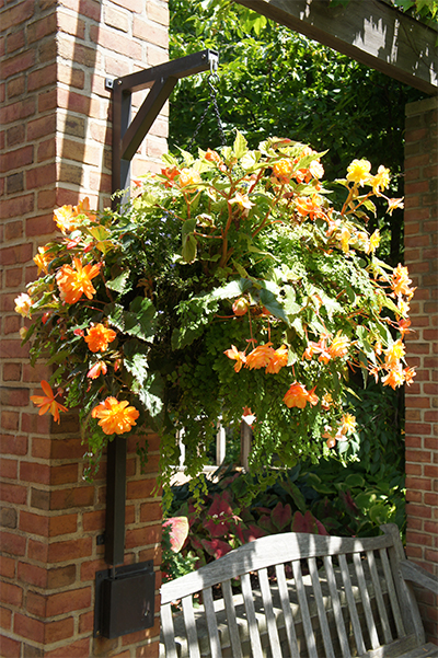 Arthritis-Free Gardening: Hanging