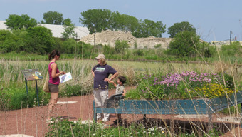 5 Things to Do Around Chicago: June 2-4
