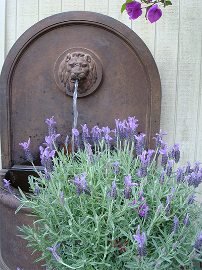 keep mosquitoes away with lavender