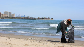 volunteer opportunities in Chicago: Shedd Aquarium