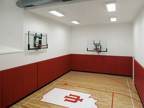 home gym: basketball court