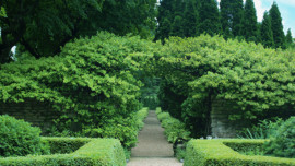 landscape design: ILCA's design tour (Green Bay Road estate)