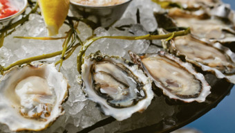 oyster: Shaw's Crab House in Chicago