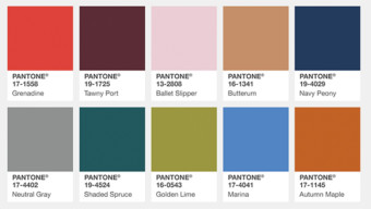 Cool Temps, Warm Hues: Fall Color Trends for Home and Fashion