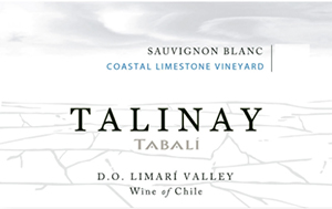 fall wine: 2015 Tabali Talinay Sauvignon Blanc