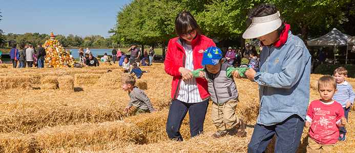 5 Things to Do: Chicago Botanic Garden's Fall Bulb Festival