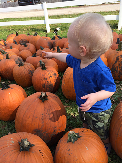 Halloween: visit a pumpkin patch