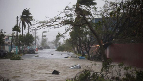 Red Cross CBS Chicago telethon: Hurricane Maria