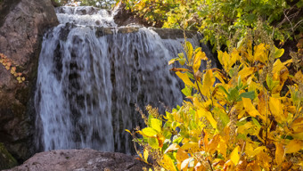 Enter to Win Chicago Botanic Garden Parking Passes