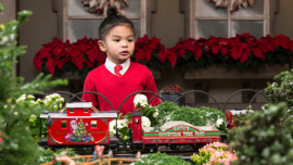 Thanksgiving Weekend 2017: Wonderland Express at Chicago Botanic Garden