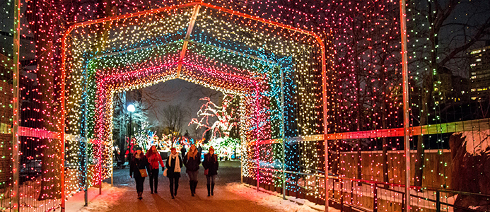 5 Things to Do: ZooLights at Lincoln Park Zoo