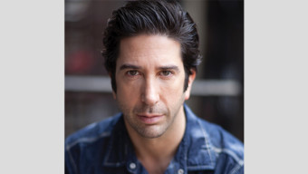 12 Can't-Miss Plays in Chicago This Winter: David Schwimmer