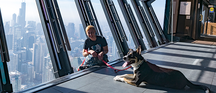 5 Things to Do: 360 CHICAGO's TILT and Tails