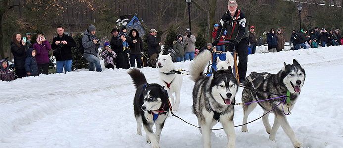 5 Things to Do: Brookfield Zoo FREEze Days