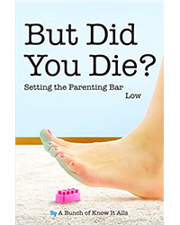 beach reads: "But Did You Die?" by Jen Mann