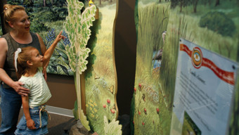 5 Things to Do: Animal Secrets at Kohl Children's Museum