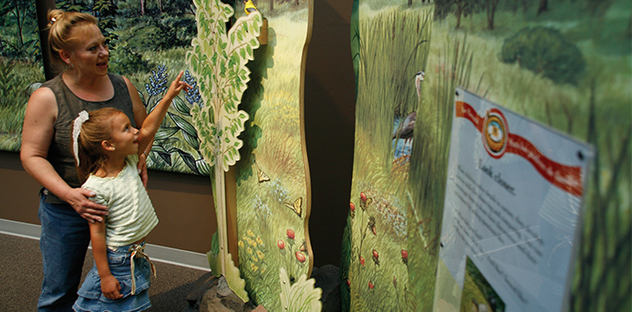 5 Things to Do: Animal Secrets at Kohl Children's Museum