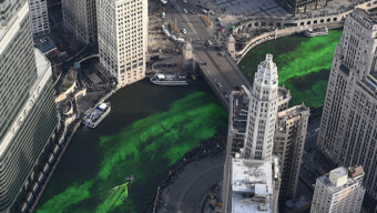 5 Easy Ways to Go Green This Month in Chicago