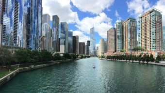 6 Ways to Celebrate Spring in Chicago