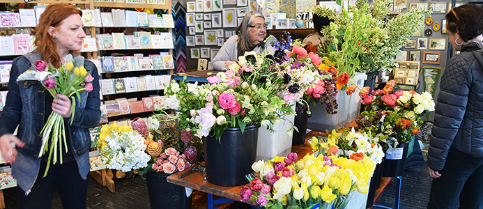 5 Things to Do: Andersonville Flower and Garden Show
