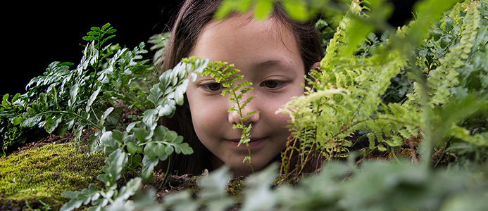 5 Things to Do: Unearth Science Festival at Chicago Botanic Garden