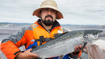 Pacific Catch