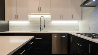 Is This the Most Sustainable Home in Chicago?