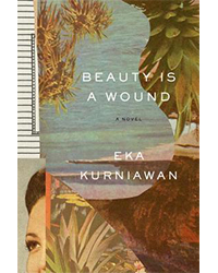 translated books: Beauty Is a Wound