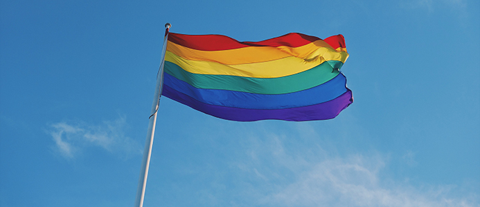 5 Things to Do Around Chicago: North Shore Pride Fest