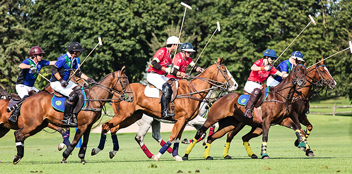 Watching a Match at Oak Brook Polo Club is the Most Fun You’ve Never Had
