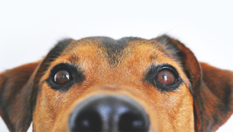 Best of 2018: Services