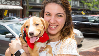 5 Things to Do Around Chicago: PAWS Chicago's Angels With Tails Adoption Event