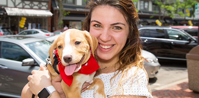 5 Things to Do Around Chicago: PAWS Chicago's Angels With Tails Adoption Event