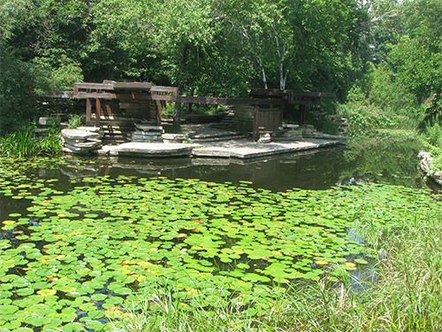 Date Night in Chicago: Alfred Caldwell Lily Pool