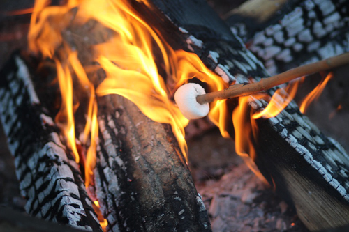 Camp Songs & Marshmallows Campfire