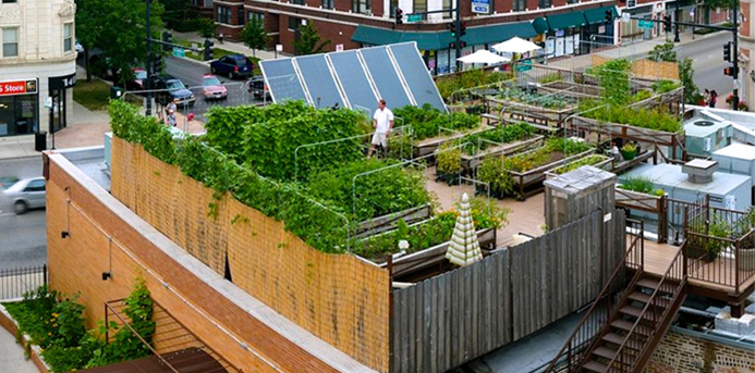 7 Chicago Restaurants Reducing Their Carbon Footprint in Innovative Ways (While Dishing Up Incredible Food!) (Uncommon Ground)
