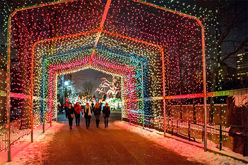 November Events Around Chicago: ZooLights at Lincoln Park Zoo