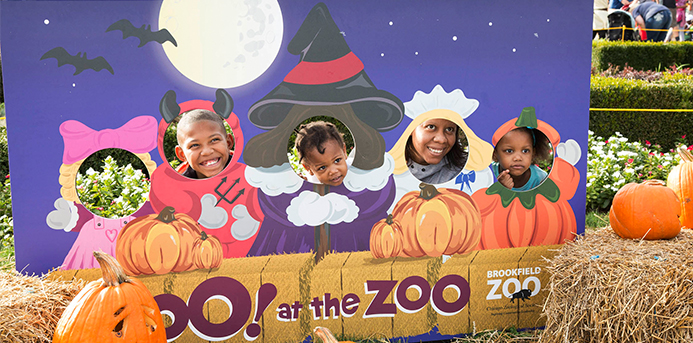 Weekend 101: Oct. 12-14 (Boo! at the Zoo — Brookfield Zoo)
