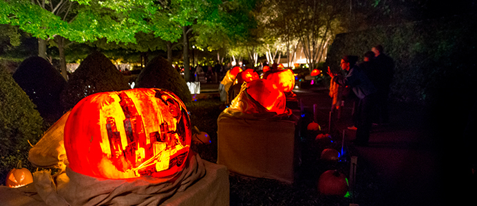 Weekend 101 (Chicago): Night of 1,000 Jack-o'-Lanterns at Chicago Botanic Garden