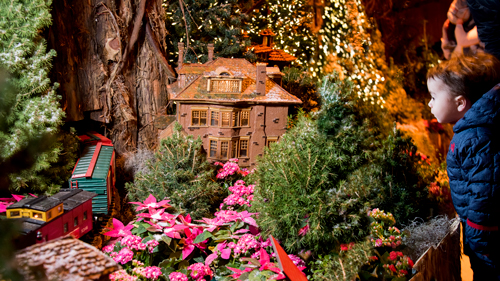 Things to Do in Chicago This December: Wonderland Express at Chicago Botanic Garden