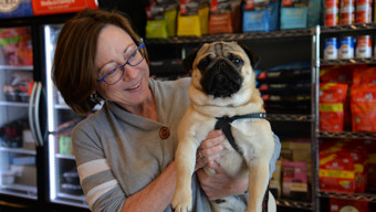 Partner Spotlight: Wags on Willow, Socially Responsible Pet Salon and Boutique