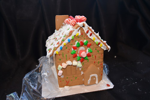 Vote for Your Favorite 2018 Gingerbread House for Charity: 15