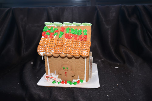 Vote for Your Favorite 2018 Gingerbread House for Charity: 21