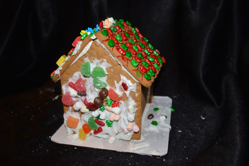 Vote for Your Favorite 2018 Gingerbread House for Charity: 29