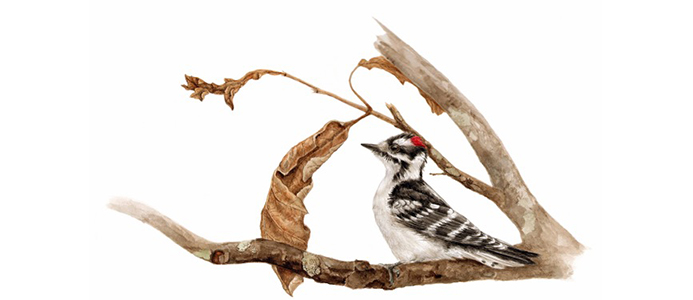 Weekend 101 (Chicago): Nature-Themed Holiday Art Market at Brushwood Center at Ryerson Woods